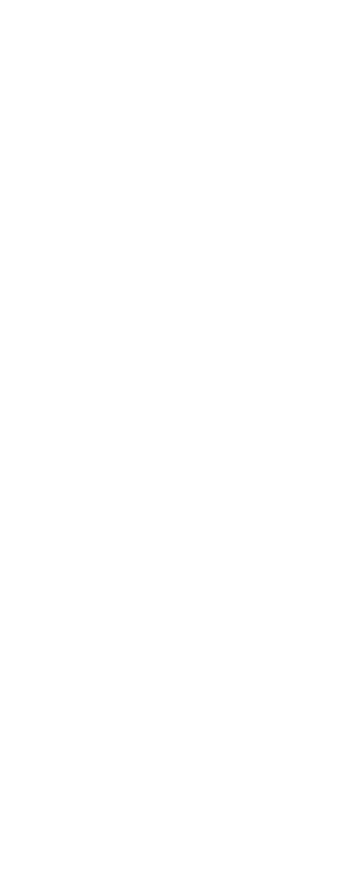 一串入魂 炭火の極み